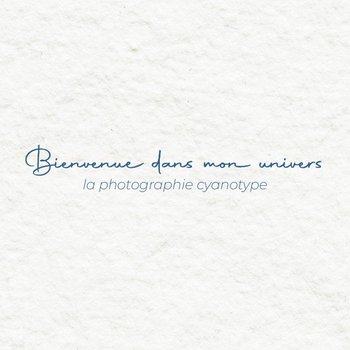banniere-mely melo-photographe-cyanotype-phone