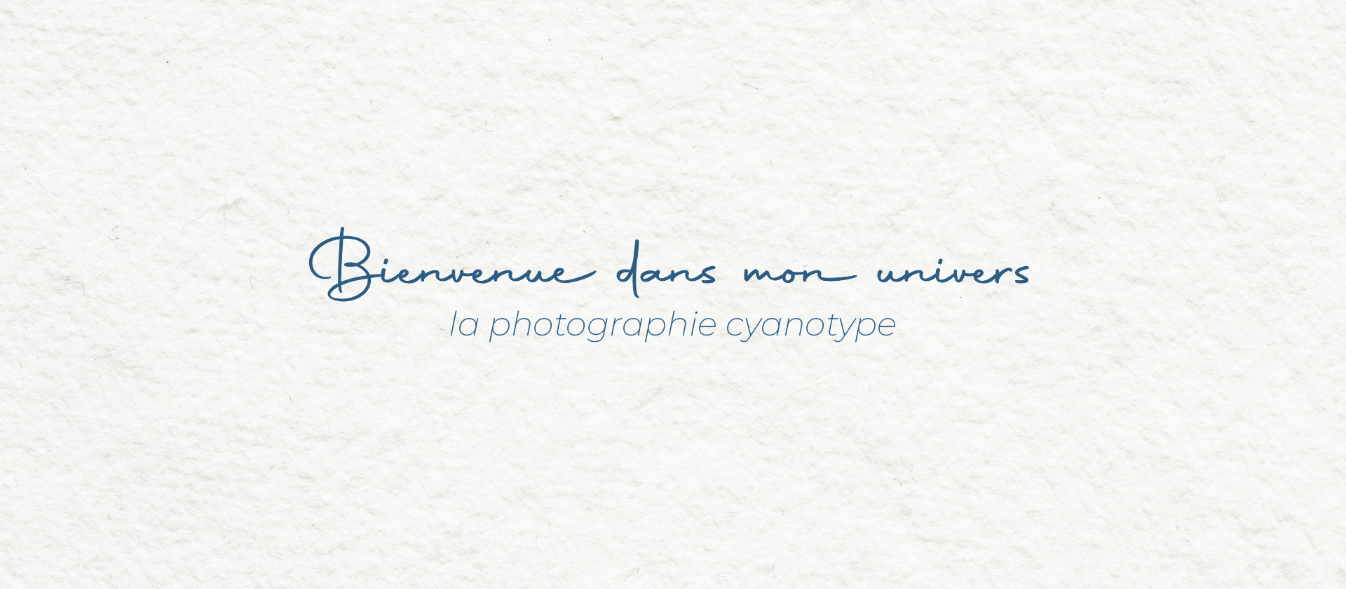 banniere-mely melo-photographe-cyanotype.png